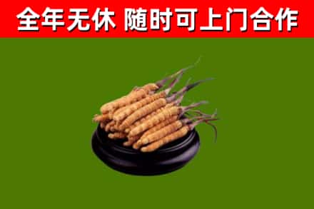 马尾区烟酒回收冬虫夏草.jpg
