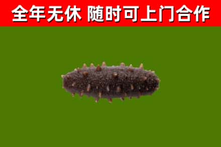 马尾区烟酒回收干海参.jpg